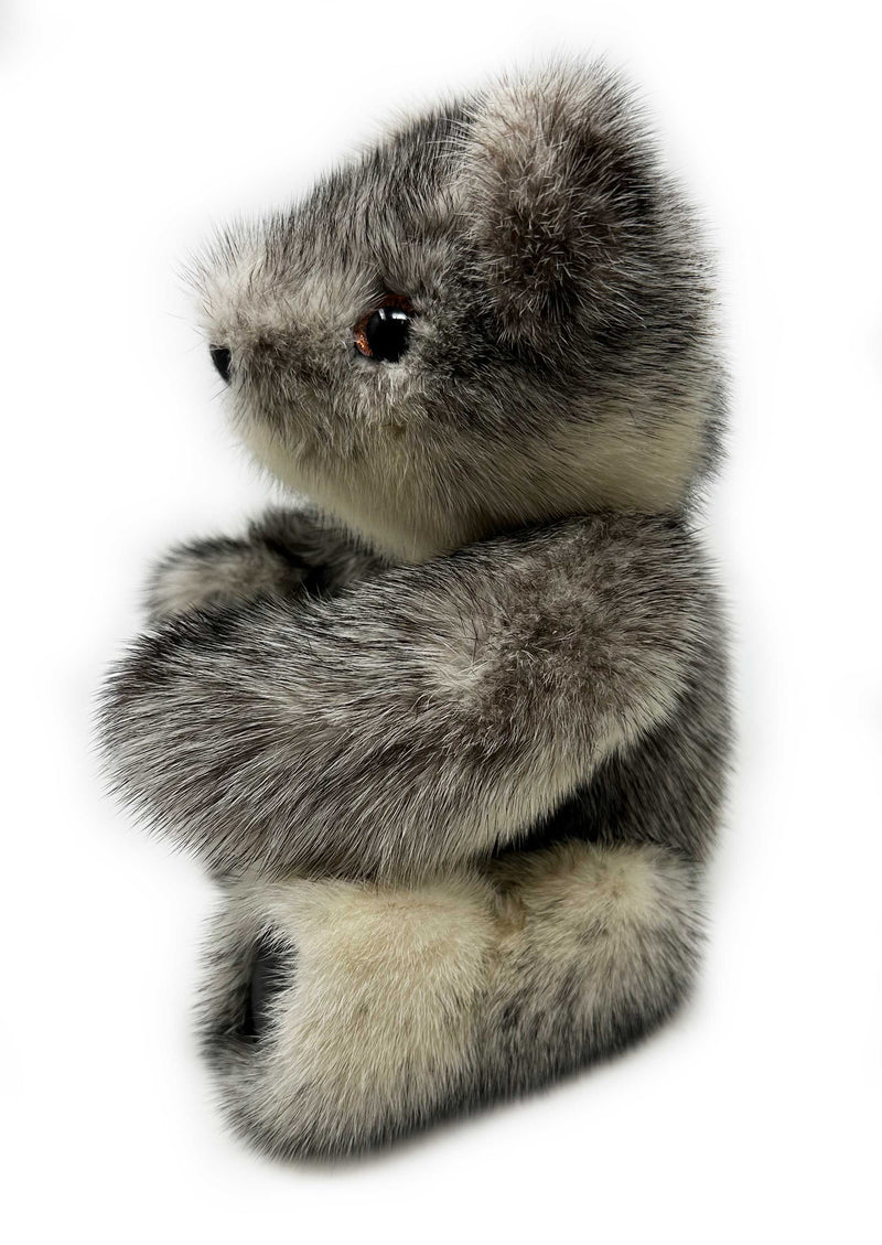 Stardust Bear